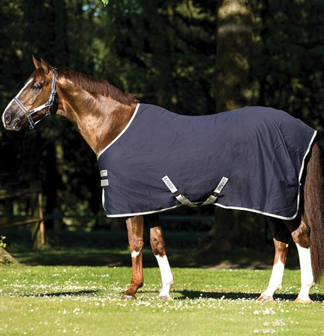 COPERTA ESTIVA AMIGO HORSEWARE* Estiva 